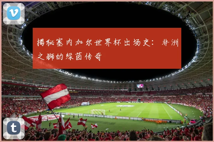 揭秘塞内加尔世界杯出场史:非洲之狮的绿茵传奇