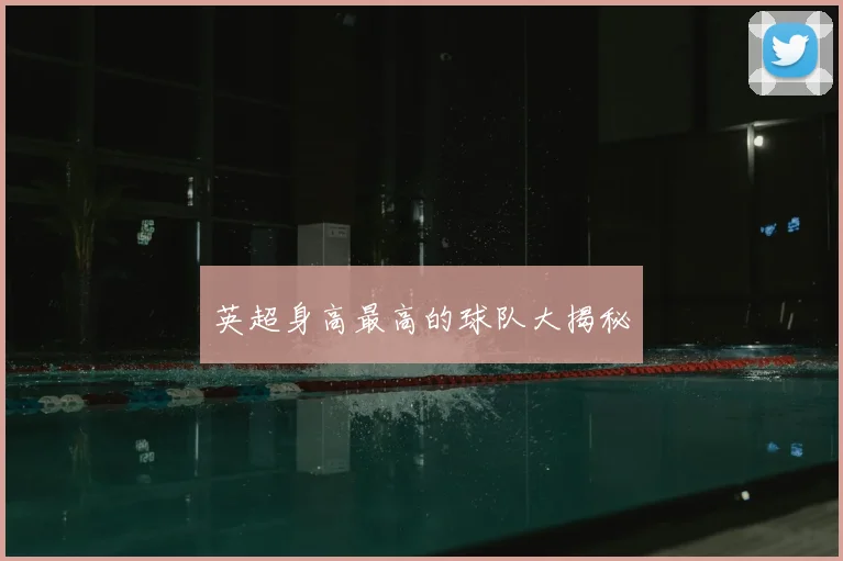英超身高最高的球队大揭秘
